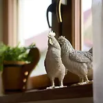 Kohutowka Wynajem Pokoi